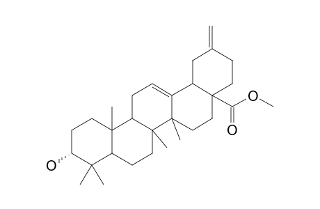 Methyl-3-epi-30-norolean-12,20(29)-dien-28-oate