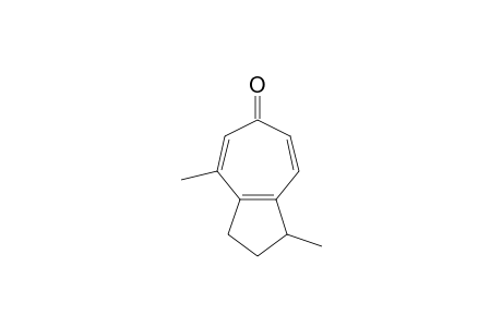 CALAMUSTROPONE