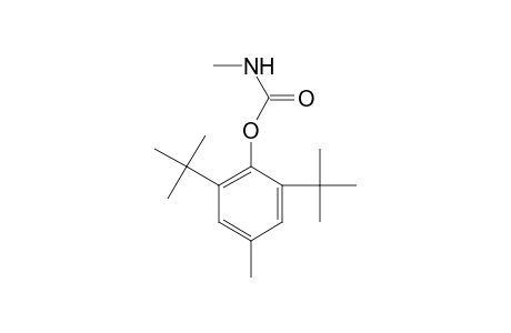 Terbutol