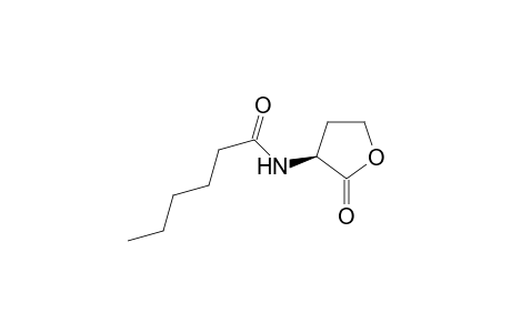 N-HEXANOYL-HOMOSERINE-LACTONE