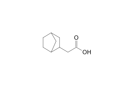 2-Norbornaneacetic acid