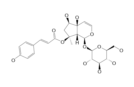 8-O-PARACOUMAROYLHARPAGIDE