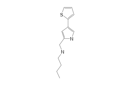 N-{[4-(2-THIENYL)-1H-PYRROL-2-YL]-METHYL}-1-BUTANAMINE