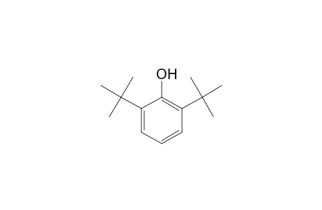 2,6-DI-tert-BUTYLPHENOL