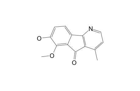 MACONDINE