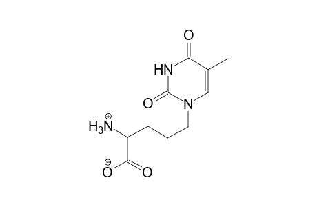 alpha-AMINO-3,4-DIHYDRO-2,4-DIOXO-5-METHYL-1(2H)-PYRIMIDINEVALERIC ACID