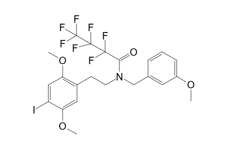 25I-NB3OMe HFB