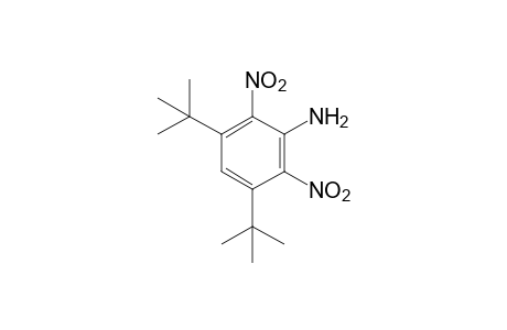 3,5-di-tert-butyl-2,6-dinitroaniline