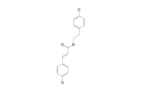 PAPRAZINE