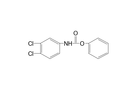 3,4-dichlorocarbanilic acid, phenyl ester