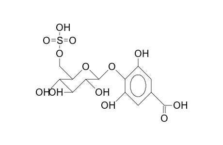 Leaf movement factor K-plmf 1