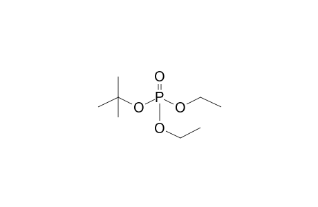 (2-METHYL-2-PROPYL)-DIETHYL-PHOSPHATE