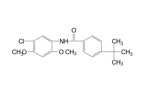 4-tert-butyl-5'-chloro-2',4'-dimethoxybenzanilide