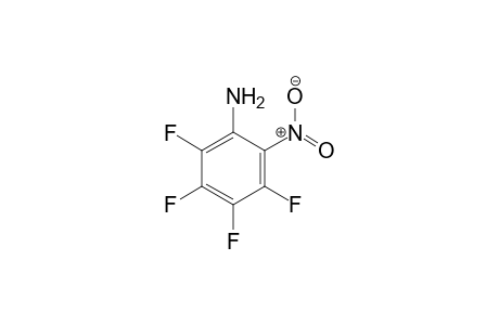 (2,3,4,5-tetrafluoro-6-nitro-phenyl)amine