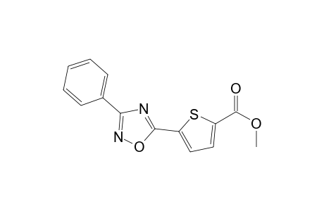 5-(3-phenyl-1,2,4-oxadiazol-5-yl)-2-thiophenecarboxylic acid methyl ester