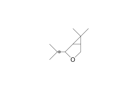 2-Methyl-2-(3-oxa-bicyclo<3.1.0>hex-4-yl)-ethan- 2-ylium cation