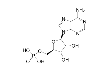 5'-Adenylic acid