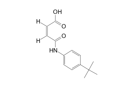 4'-tert-BUTYLMALEANILIC ACID