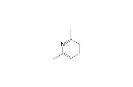 2,6-Lutidine