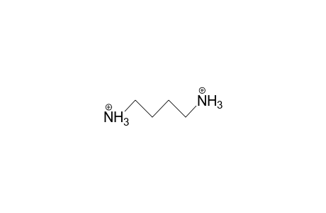 1,4-Butanediamine dication