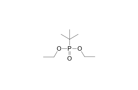 Diethyl tert-butylphosphonate