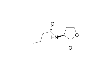 N-BUTANOYL-HOMOSERINE-LACTONE