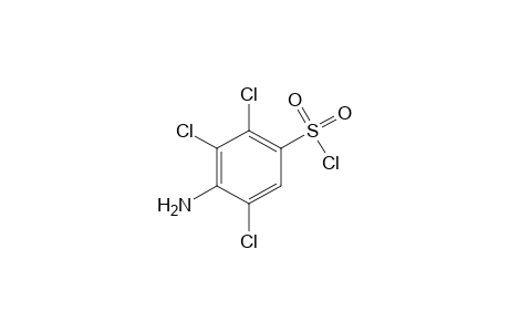 2,3,5-trichlorosulfanilyl chloride