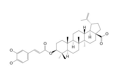 BETULINIC-ACID-3-BETA-CAFFEATE