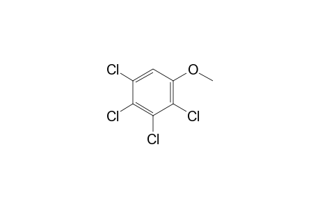 2,3,4,5-Tetrachloroanisole