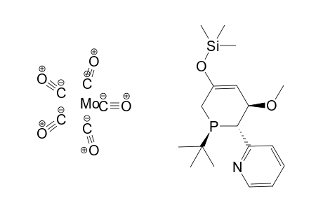 Pentacarbonyl-[1-(t-butyl)-6-(2'-pyridyl)-5-methoxy-3-(trimethylsilyloxy)-1-phosphacyclohex-3-ene]-molybdenium