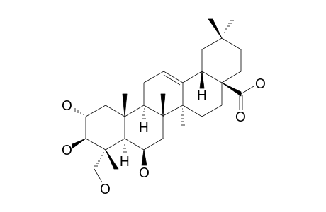 TERMINOLIC ACID ; 2alpha,3beta,6beta,23-TETRAHYDROXYOLEAN-12-EN-28-OIC ACID