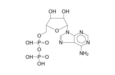 ADP