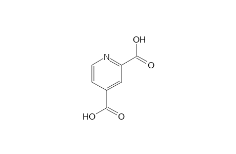 2,4-Pyridinedicarboxylic acid