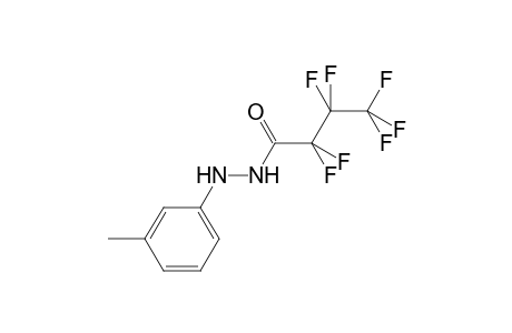 2,2,3,3,4,4,4-heptafluoro-N'-(3-methylphenyl)butanehydrazide