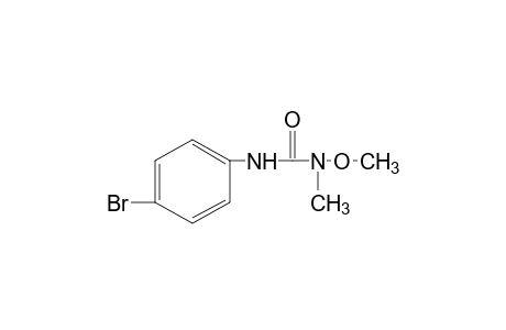 3-(p-bromophenyl)-1-methoxy-1-methylurea