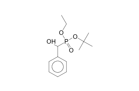 PHOSPHORIC ACID, alpha-HYDROXYBENZYL-, (tert-BUTYL)(ETHYL)ESTER