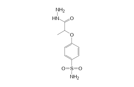 2-(p-sulfamoylphenoxy)propionic acid, hydrazide