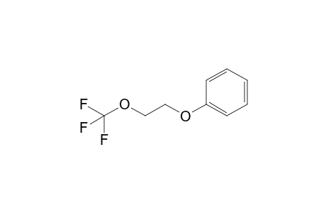 2-(trifluoromethoxy)ethoxybenzene