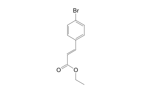 Ethyl trans-4-bromocinnamate