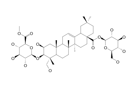 3-O-BETA-[6-O-METHYL-GLUCURONOPYRANOSYL]-BAYOGENIN-28-O-GLUCOPYRANOSYLESTER