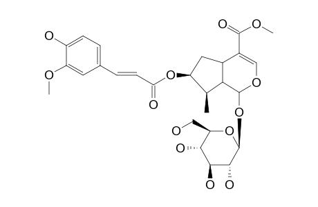 7-FERULOYLLOGANIN(TRANS)