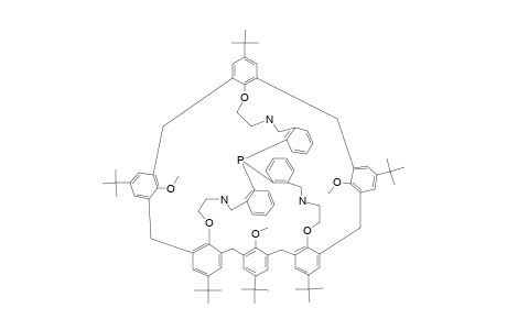 PN3-CALIX-[6]-CRYPTAND