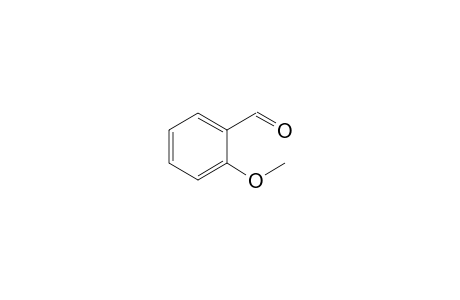 o-Anisaldehyde