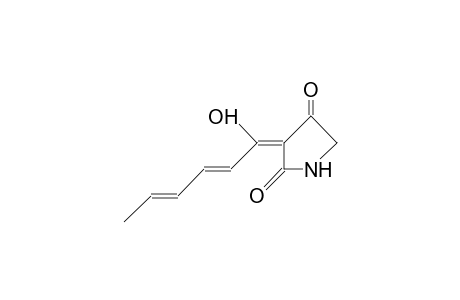 1-Sorbyl-pyrrolidine-2,4-dione