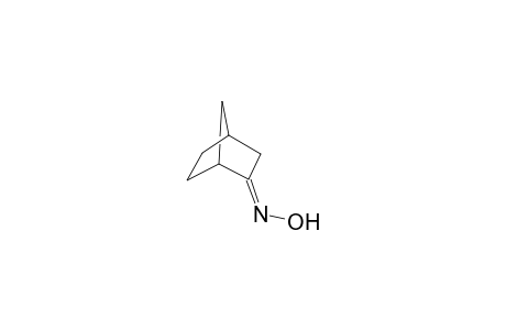 ANTI-BICYCLO-[2.2.1]-HEPTAN-2-ONE-OXIME