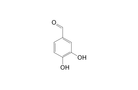 Protocatechualdehyde