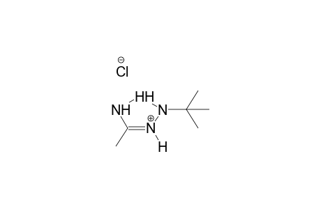 1-TERT-BUTYLACETAMIDRAZONIUM CHLORIDE