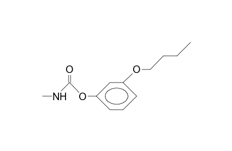 META-BUTOXYPHENYL-N-METHYLCARBAMATE