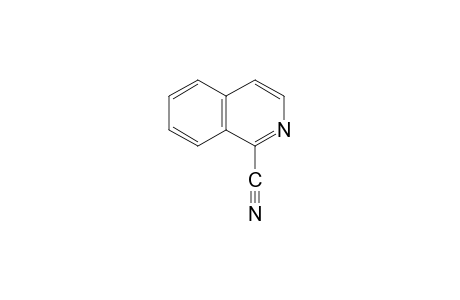 1-CYANO-ISOQUINOLINE