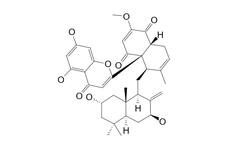 DICHROSTACHINE_B